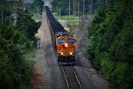 BNSF 3636 South